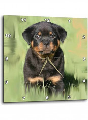 Rottweiler Puppy Printed Analog Wall Clock Multicolour 13x13x0.1inch