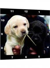 Lab Puppy Themed Wall Clock Multicolour reviews Lab Puppy Themed Wall Clock Multicolour