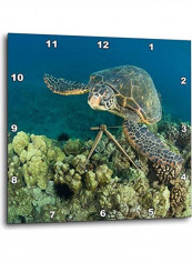 DPP 89950 2 Sea Turtle Makena Sp Maui Hawaii Wall Clock Multicolour 13x13inch