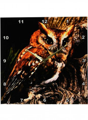 Owl Printed Analog Wall Clock Multicolour 13x13x0.1inch