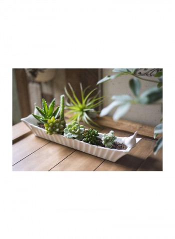 Ceramic Cracker Dish White 15.6x3x3.2inch
