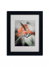 Soft Grey 3 Framed Wall Art Multicolour 11 x 14inch
