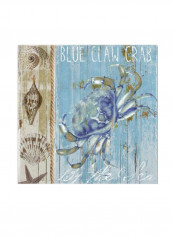 Blue Crab I Canvas Wall Art Multicolour 14 x 14inch