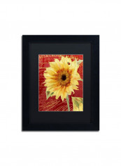 Ete Lady Bug Framed Wall Art Multicolour 11 x 14inch