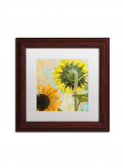 Soleil Ii Framed Wall Art Multicolour 11 x 11inch