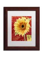 Ete Lady Bug Wooden Framed Wall Art Multicolour 11 x 14inch
