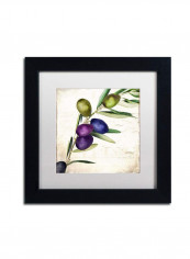 Olive Branch Ii Framed Wall Art multicolour 11 x 11inch