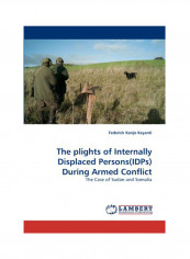 The Plights Of Internally Displaced Persons(Idps) During Armed Conflict Paperback