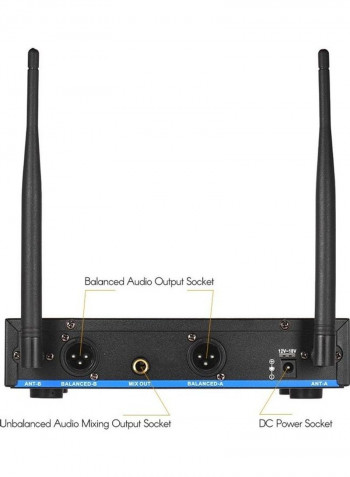 Wireless Microphone Set With 1 Receiver 2 Handheld Mic