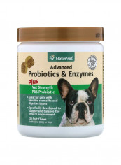 Advanced Probiotics And Enzymes - 120 Soft Chew متعدد الألوان 288غم تقييمات Advanced Probiotics And Enzymes - 120 Soft Chew متعدد الألوان 288غم