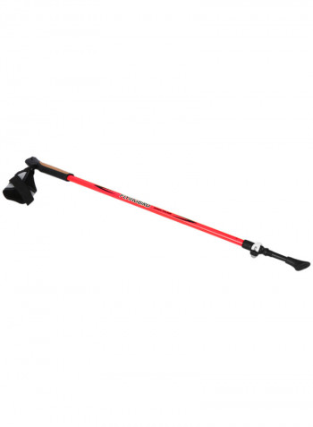 2-Piece Adjustable Hiking Pole Walking Stick 79 x 4 x 10centimeter