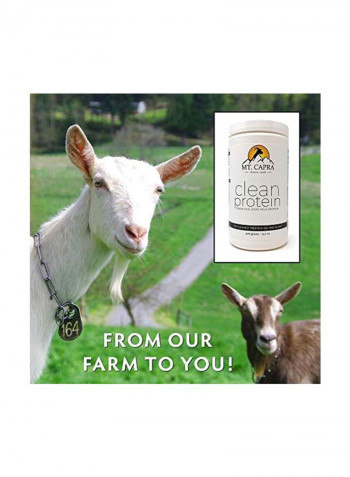 Goat Milk Protein With Whey