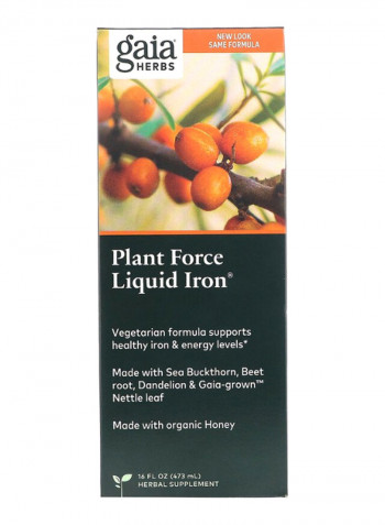 Plant Force Liquid Iron
