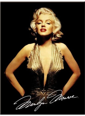 Marilyn Monroe Themed Magnet Multicolour