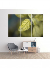 3-Piece Flower Theme Canvas Frame Painting Set Green 120 x 60centimeter