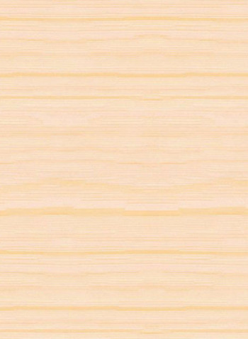 Single Mist Solar Roller Non-Blackout Window Shade Beige 120x240cm