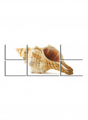 5-Piece Sea Theme Canvas Painting With Frame White/Beige 109X58centimeter