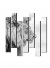 7-Piece Animal Theme Canvas Painting With Frame White/Black 75X70centimeter