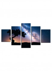 5-Piece Astronomy Theme Canvas Painting With Frame Multicolour 100X55centimeter