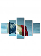 5-Piece Flag Theme Canvas Painting With Frame Multicolour 100X55centimeter