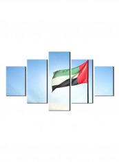 5-Piece Flag Theme Canvas Painting With Frame Multicolour 100X55centimeter