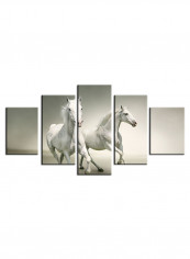 5-Piece Animal Theme Canvas Painting With Frame Multicolour 100X55centimeter