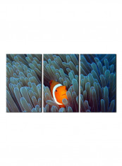 3-Piece Sea Theme Canvas Painting With Frame Multicolour 120X60centimeter