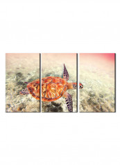3-Piece Sea Theme Canvas Painting With Frame Multicolour 120X60centimeter