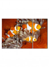 3-Piece Sea Theme Canvas Painting With Frame Multicolour 120X60centimeter