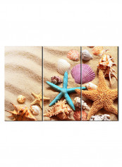 3-Piece Sea Theme Canvas Painting With Frame Multicolour 120X60centimeter
