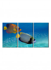 3-Piece Sea Theme Canvas Painting With Frame Multicolour 120X60centimeter