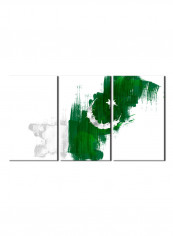 3-Piece Flag Theme Canvas Painting With Frame Multicolour 120X60centimeter