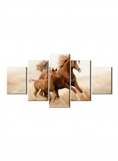 5-Piece Animal Theme Canvas Painting With Frame Multicolour 100X55centimeter