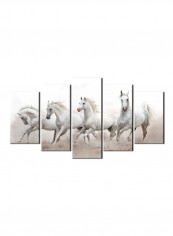 5-Piece Animal Theme Canvas Painting With Frame Multicolour 100X55centimeter