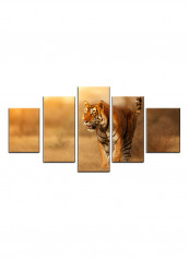 5-Piece Animal Theme Canvas Painting With Frame Multicolour 100X55centimeter
