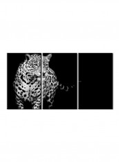 3-Piece Animal Theme Canvas Painting With Frame Black/White 120X60centimeter