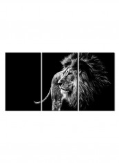 3-Piece Animal Theme Canvas Painting With Frame Black/White 120X60centimeter