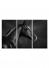 3-Piece Animal Theme Canvas Painting With Frame Grey 120X60centimeter