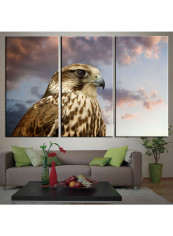 3-Piece Animal Theme Canvas Painting With Frame Multicolour 120X60centimeter
