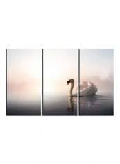 3-Piece Animal Theme Canvas Painting With Frame Multicolour 120X60centimeter