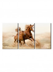 3-Piece Animal Theme Canvas Painting With Frame Multicolour 120X60centimeter