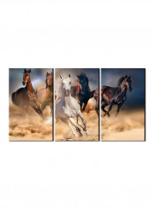 3-Piece Animal Theme Canvas Painting With Frame Multicolour 120X60centimeter