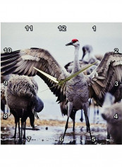 DPP 92168 2 Sandhill Crane Birds Platte River Nebraska Wall Clock Multicolour 13x13inch