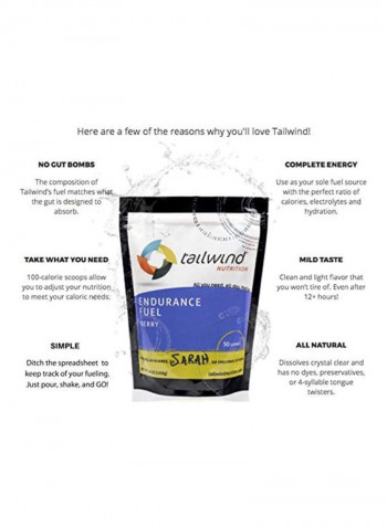 Endurance Fuel Supplement - Raspberry Buzz