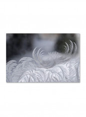 February Window Frost Canvas Wall Art White/Grey 16 x 24inch