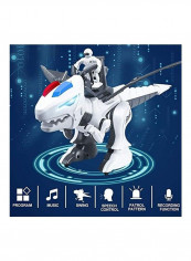 RC Dinosaur Robot Set