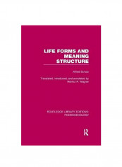 Life Forms And Meaning Structure Paperback