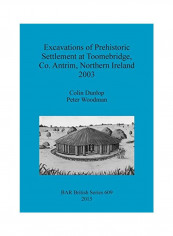 Excavations Of Prehistoric Settlement At Toomebridge, Co. Antrim, Northern Ireland 2003 Paperback