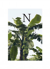 Nathaniel Goldberg Hardcover reviews Nathaniel Goldberg Hardcover