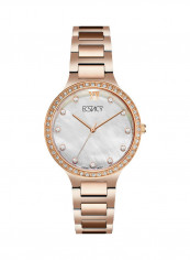 Women's Analog Dial Wrist Watch